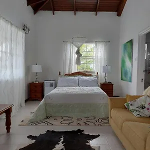Selen's In Ti Rocher Saint Lucia Apartment Micoud